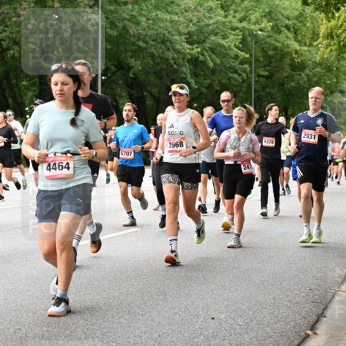 06.09.2026 - CURREX Alsterlauf Dr. Thomas Lammeyer http://msf.ph/oto/10115844 06.09.2026 09:11:39 Laufen 2621, 4464, 5707, 2968, 247, 6379, 2931, 5410, 5653 meine-sportfotos.de