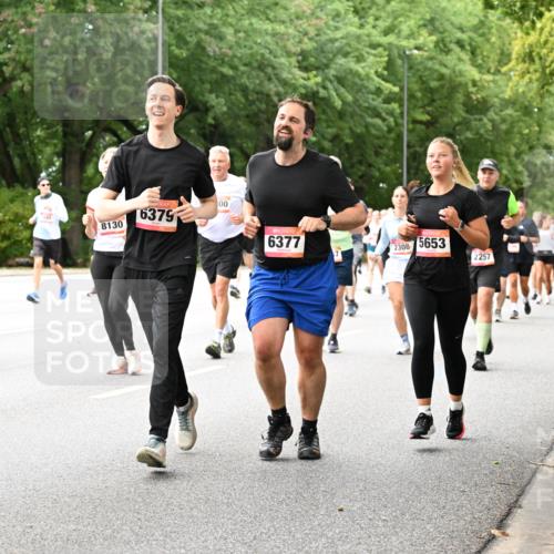 06.09.2026 - CURREX Alsterlauf Dr. Thomas Lammeyer http://msf.ph/oto/10115865 06.09.2026 09:11:43 Laufen 145, 007, 8130, 6379, 00, 6377, 2308, 5653, 2257, 5810 meine-sportfotos.de