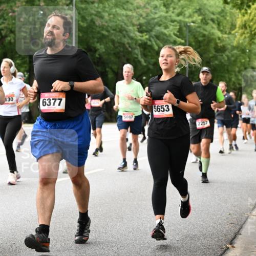 06.09.2026 - CURREX Alsterlauf Dr. Thomas Lammeyer http://msf.ph/oto/10115869 06.09.2026 09:11:43 Laufen 6379, 130, 6377, 5087, 5653, 2257, 5810 meine-sportfotos.de