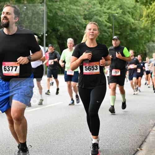 06.09.2026 - CURREX Alsterlauf Dr. Thomas Lammeyer http://msf.ph/oto/10115871 06.09.2026 09:11:44 Laufen 6130, 6377, 5087, 5653, 2257, 5610 meine-sportfotos.de