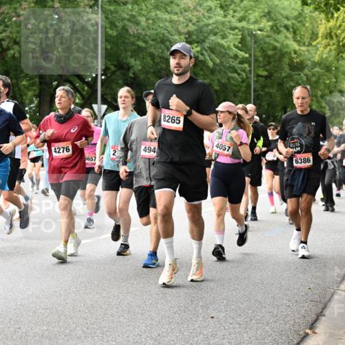 06.09.2026 - CURREX Alsterlauf Dr. Thomas Lammeyer http://msf.ph/oto/10115943 06.09.2026 09:11:54 Laufen 2, 4276, 494, 2, 5725, 8657, 8265, 4057, 6386, 3825 meine-sportfotos.de