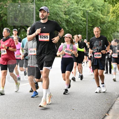 06.09.2026 - CURREX Alsterlauf Dr. Thomas Lammeyer http://msf.ph/oto/10115947 06.09.2026 09:11:55 Laufen 3373, 276, 725, 3657, 4949, 8265, 4057, 6386, 3825 meine-sportfotos.de