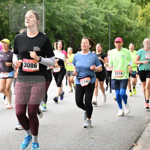 06.09.2026 - CURREX Alsterlauf Dr. Thomas Lammeyer http://msf.ph/oto/10116021 06.09.2026 09:12:06 Laufen 6244, 4454, 3086, 4146, 2243, 8219, 5071 meine-sportfotos.de