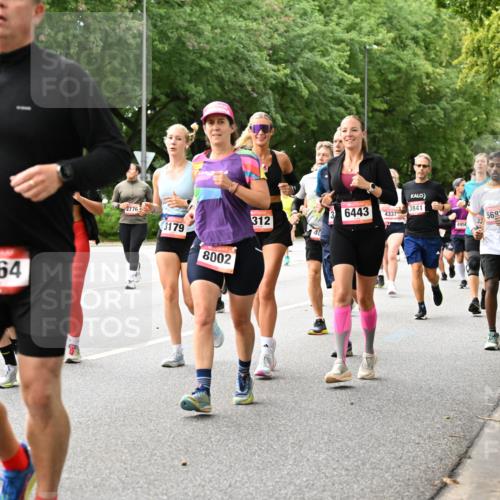 06.09.2026 - CURREX Alsterlauf Dr. Thomas Lammeyer http://msf.ph/oto/10116057 06.09.2026 09:12:11 Laufen 2864, 2776, 3179, 8002, 312, 6443, 3841, 4337, 40, 5693, 4956 meine-sportfotos.de