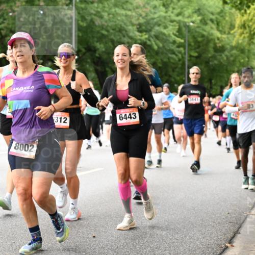 06.09.2026 - CURREX Alsterlauf Dr. Thomas Lammeyer http://msf.ph/oto/10116063 06.09.2026 09:12:12 Laufen 5275, 8002, 312, 6443, 3841 meine-sportfotos.de