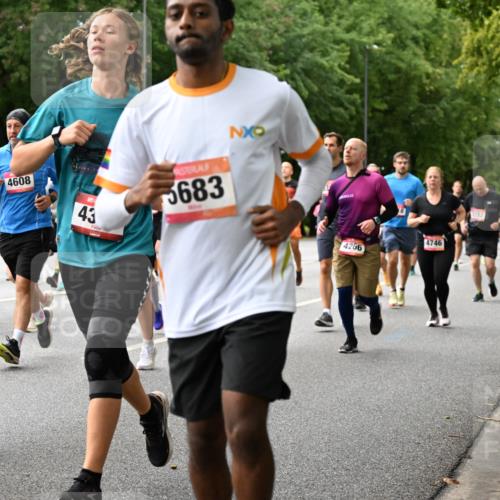 06.09.2026 - CURREX Alsterlauf Dr. Thomas Lammeyer http://msf.ph/oto/10116085 06.09.2026 09:12:15 Laufen 5060, 4608, 43, 5683, 4266, 4746 meine-sportfotos.de