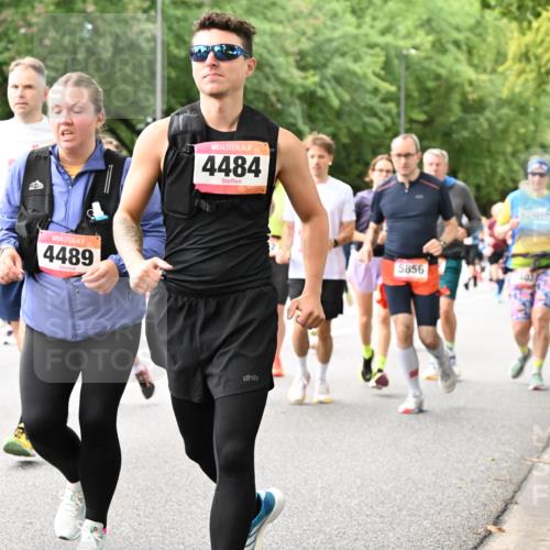 06.09.2026 - CURREX Alsterlauf Dr. Thomas Lammeyer http://msf.ph/oto/10116215 06.09.2026 09:12:31 Laufen 2486, 4489, 4484, 5856 meine-sportfotos.de