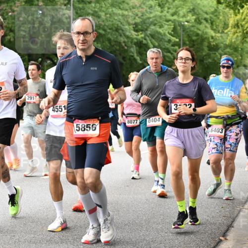 06.09.2026 - CURREX Alsterlauf Dr. Thomas Lammeyer http://msf.ph/oto/10116226 06.09.2026 09:12:33 Laufen 2660, 52, 2912, 4551, 8077, 6404, 5856, 32, 6403, 3050 meine-sportfotos.de