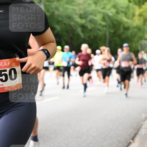 06.09.2026 - CURREX Alsterlauf Dr. Thomas Lammeyer http://msf.ph/oto/10116254 06.09.2026 09:12:37 Laufen 3050 meine-sportfotos.de
