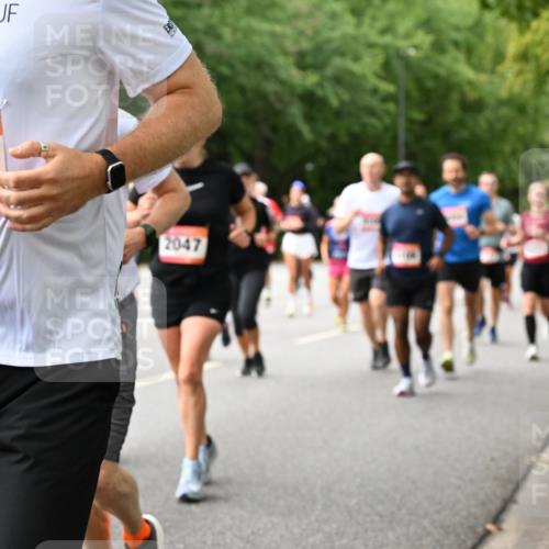 06.09.2026 - CURREX Alsterlauf Dr. Thomas Lammeyer http://msf.ph/oto/10116306 06.09.2026 09:12:44 Laufen 3375, 2047 meine-sportfotos.de