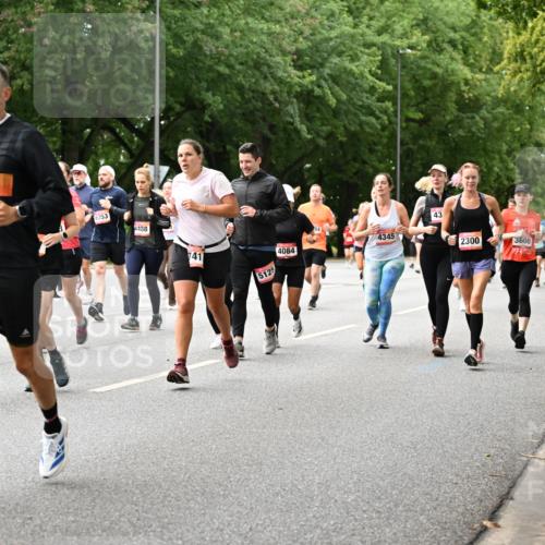 06.09.2026 - CURREX Alsterlauf Dr. Thomas Lammeyer http://msf.ph/oto/10116340 06.09.2026 09:12:49 Laufen 33, 6353, 4488, 741, 4084, 5125, 4345, 43, 2300, 3600 meine-sportfotos.de