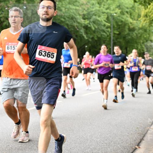 06.09.2026 - CURREX Alsterlauf Dr. Thomas Lammeyer http://msf.ph/oto/10116597 06.09.2026 09:13:21 Laufen 314, 6157, 6365 meine-sportfotos.de
