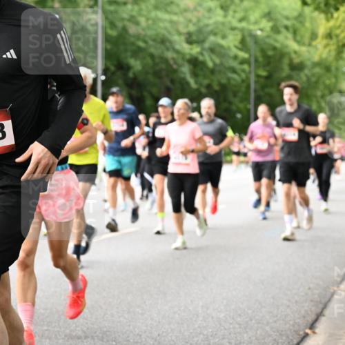 06.09.2026 - CURREX Alsterlauf Dr. Thomas Lammeyer http://msf.ph/oto/10116669 06.09.2026 09:13:32 Laufen 5543 meine-sportfotos.de