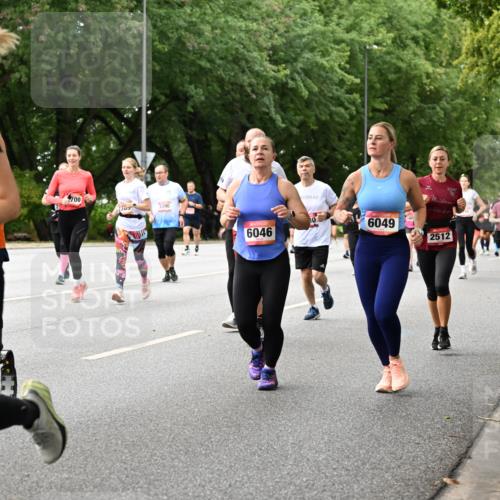 06.09.2026 - CURREX Alsterlauf Dr. Thomas Lammeyer http://msf.ph/oto/10116699 06.09.2026 09:13:37 Laufen 700, 2305, 3390, 6046, 6049, 2512, 6292, 6290 meine-sportfotos.de