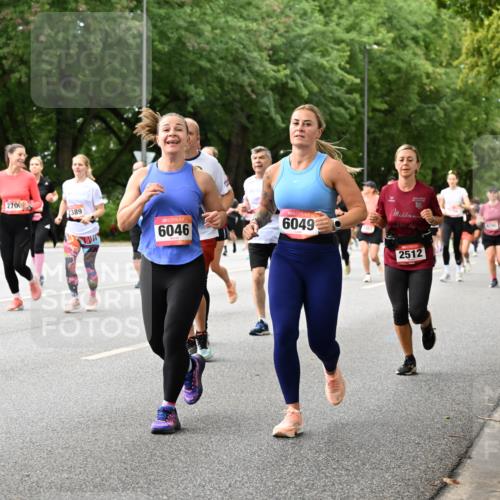 06.09.2026 - CURREX Alsterlauf Dr. Thomas Lammeyer http://msf.ph/oto/10116705 06.09.2026 09:13:37 Laufen 2700, 2389, 6046, 6049, 1, 101, 2512 meine-sportfotos.de