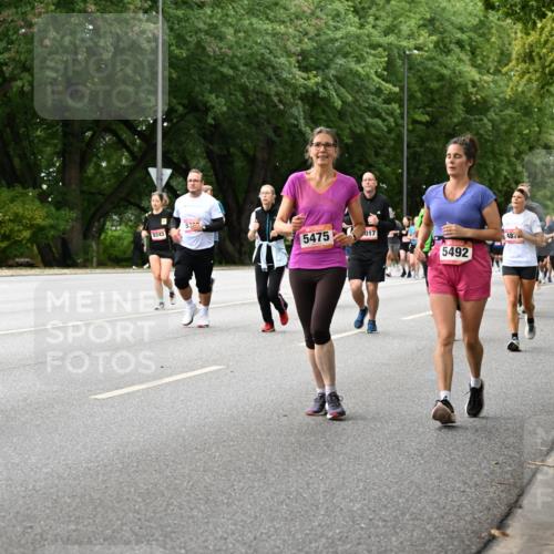 06.09.2026 - CURREX Alsterlauf Dr. Thomas Lammeyer http://msf.ph/oto/10116898 06.09.2026 09:14:01 Laufen 8243, 2323, 5475, 017, 5492, 48, 5539, 2195 meine-sportfotos.de