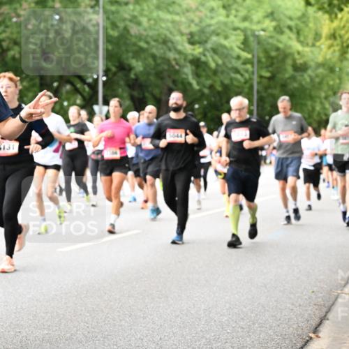 06.09.2026 - CURREX Alsterlauf Dr. Thomas Lammeyer http://msf.ph/oto/10116971 06.09.2026 09:14:11 Laufen 5557, 5044, 4131 meine-sportfotos.de