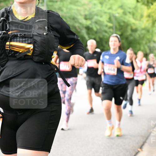 06.09.2026 - CURREX Alsterlauf Dr. Thomas Lammeyer http://msf.ph/oto/10117038 06.09.2026 09:14:19 Laufen 468 meine-sportfotos.de