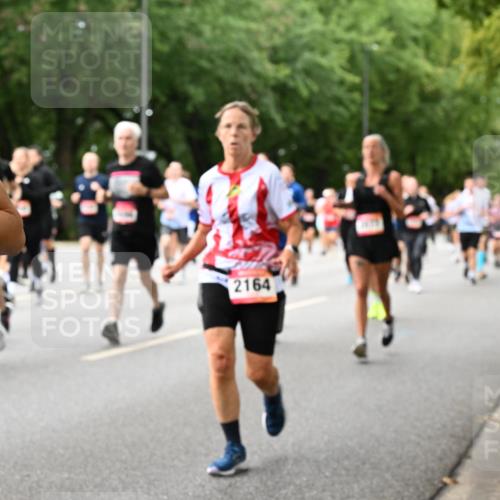 06.09.2026 - CURREX Alsterlauf Dr. Thomas Lammeyer http://msf.ph/oto/10117059 06.09.2026 09:14:21 Laufen 28, 2164 meine-sportfotos.de
