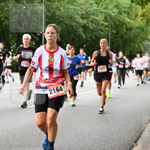 06.09.2026 - CURREX Alsterlauf Dr. Thomas Lammeyer http://msf.ph/oto/10117062 06.09.2026 09:14:22 Laufen 5816, 5008, 5598, 2164, 2077, 59 meine-sportfotos.de