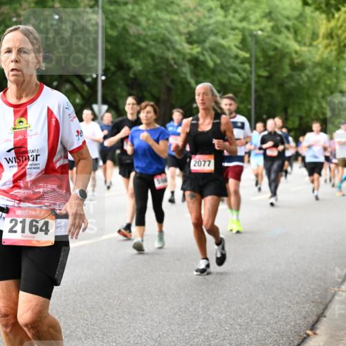 06.09.2026 - CURREX Alsterlauf Dr. Thomas Lammeyer http://msf.ph/oto/10117065 06.09.2026 09:14:22 Laufen 2164, 2077 meine-sportfotos.de