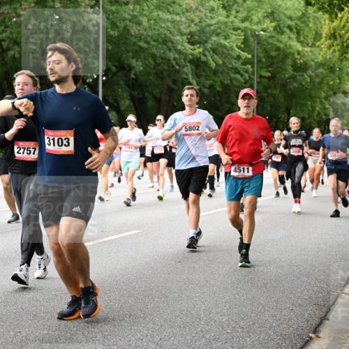 06.09.2026 - CURREX Alsterlauf Dr. Thomas Lammeyer http://msf.ph/oto/10117103 06.09.2026 09:14:27 Laufen 8300, 4117, 2757, 3103, 3101, 5802, 4511, 3005, 300 meine-sportfotos.de