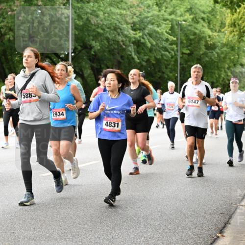 06.09.2026 - CURREX Alsterlauf Dr. Thomas Lammeyer http://msf.ph/oto/10117261 06.09.2026 09:14:50 Laufen 4892, 5883, 2934, 4831, 6147, 3039, 148, 5111 meine-sportfotos.de