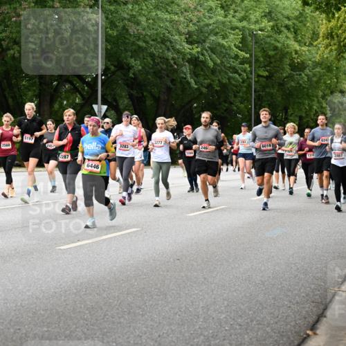 06.09.2026 - CURREX Alsterlauf Dr. Thomas Lammeyer http://msf.ph/oto/10117328 06.09.2026 09:15:00 Laufen 5197, 3277, 2560, 2454, 3283, 4170, 2287, 6446, 6242, 6019, 634, 246, 3271, 3309, 1316, 2467 meine-sportfotos.de