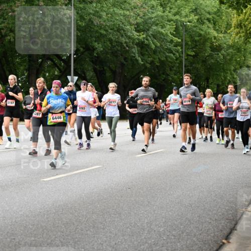 06.09.2026 - CURREX Alsterlauf Dr. Thomas Lammeyer http://msf.ph/oto/10117330 06.09.2026 09:15:00 Laufen 4170, 2560, 5197, 245, 2287, 6446, 3283, 3277, 3163, 2466, 6019, 309, 8271, 131, 624, 2467, 4634, 8056, 2035 meine-sportfotos.de