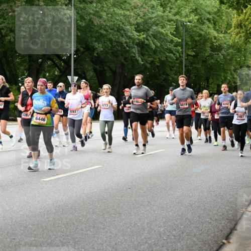 06.09.2026 - CURREX Alsterlauf Dr. Thomas Lammeyer http://msf.ph/oto/10117332 06.09.2026 09:15:00 Laufen 4170, 2560, 5197, 2287, 6446, 541, 3283, 3277, 246, 6019, 6242, 2467, 4634 meine-sportfotos.de