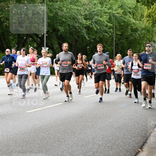 06.09.2026 - CURREX Alsterlauf Dr. Thomas Lammeyer http://msf.ph/oto/10117341 06.09.2026 09:15:02 Laufen 6446, 3277, 2466, 2385, 6019, 3283, 8271, 2541, 2467, 4634, 8056 meine-sportfotos.de