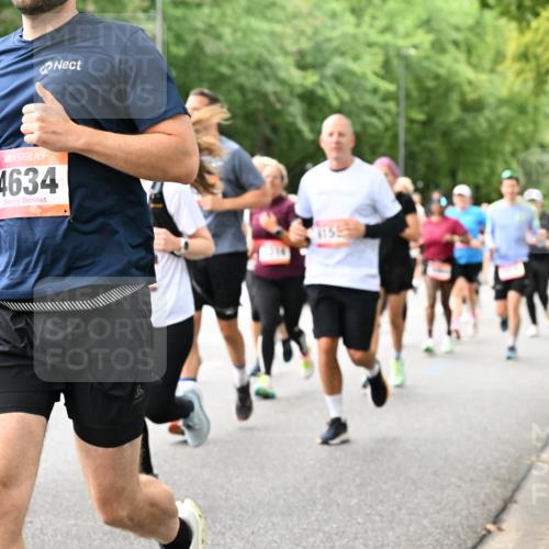 06.09.2026 - CURREX Alsterlauf Dr. Thomas Lammeyer http://msf.ph/oto/10117363 06.09.2026 09:15:05 Laufen 6019, 4634, 1155 meine-sportfotos.de