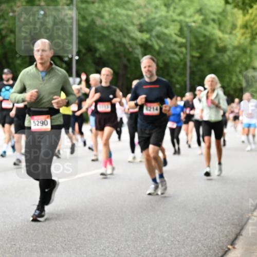 06.09.2026 - CURREX Alsterlauf Dr. Thomas Lammeyer http://msf.ph/oto/10117428 06.09.2026 09:15:14 Laufen 4590, 5290, 6214 meine-sportfotos.de
