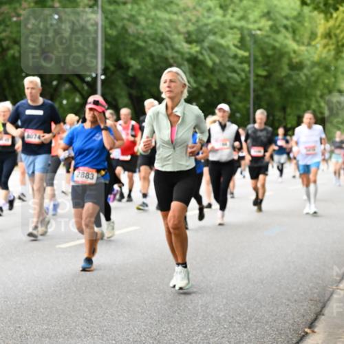 06.09.2026 - CURREX Alsterlauf Dr. Thomas Lammeyer http://msf.ph/oto/10117439 06.09.2026 09:15:16 Laufen 4, 2883 meine-sportfotos.de