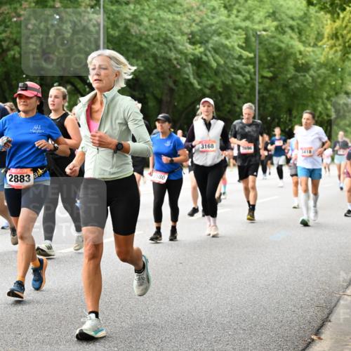 06.09.2026 - CURREX Alsterlauf Dr. Thomas Lammeyer http://msf.ph/oto/10117443 06.09.2026 09:15:16 Laufen 45, 807, 2883, 2580, 3168, 3696, 3418 meine-sportfotos.de