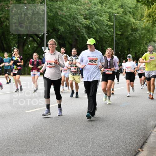 06.09.2026 - CURREX Alsterlauf Dr. Thomas Lammeyer http://msf.ph/oto/10117522 06.09.2026 09:15:27 Laufen 5356, 2417, 2552, 5357, 4246, 4179, 3400, 4247, 3477, 2031, 3995, 3239 meine-sportfotos.de
