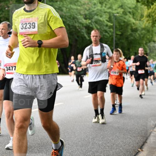 06.09.2026 - CURREX Alsterlauf Dr. Thomas Lammeyer http://msf.ph/oto/10117538 06.09.2026 09:15:31 Laufen 41, 3477, 3239, 209 meine-sportfotos.de