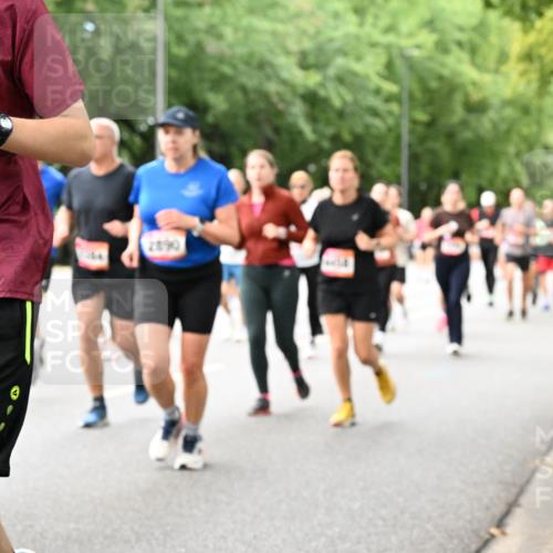 06.09.2026 - CURREX Alsterlauf Dr. Thomas Lammeyer http://msf.ph/oto/10117612 06.09.2026 09:15:42 Laufen 4129, 2890 meine-sportfotos.de