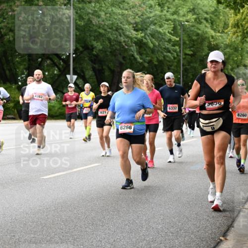 06.09.2026 - CURREX Alsterlauf Dr. Thomas Lammeyer http://msf.ph/oto/10117774 06.09.2026 09:16:03 Laufen 245, 6487, 2157, 4383, 3513, 3621, 6266, 6332, 8260 meine-sportfotos.de