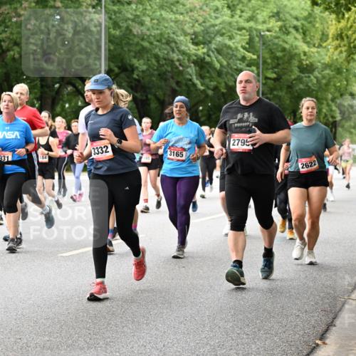 06.09.2026 - CURREX Alsterlauf Dr. Thomas Lammeyer http://msf.ph/oto/10117866 06.09.2026 09:16:14 Laufen 3662, 5931, 184, 3332, 185, 3165, 2795, 2622 meine-sportfotos.de