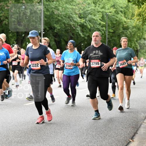 06.09.2026 - CURREX Alsterlauf Dr. Thomas Lammeyer http://msf.ph/oto/10117867 06.09.2026 09:16:14 Laufen 3662, 931, 4184, 11, 3332, 485, 3165, 2795, 2622 meine-sportfotos.de