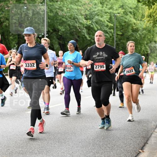 06.09.2026 - CURREX Alsterlauf Dr. Thomas Lammeyer http://msf.ph/oto/10117868 06.09.2026 09:16:14 Laufen 3662, 5931, 3332, 4184, 3165, 485, 2795, 2622 meine-sportfotos.de