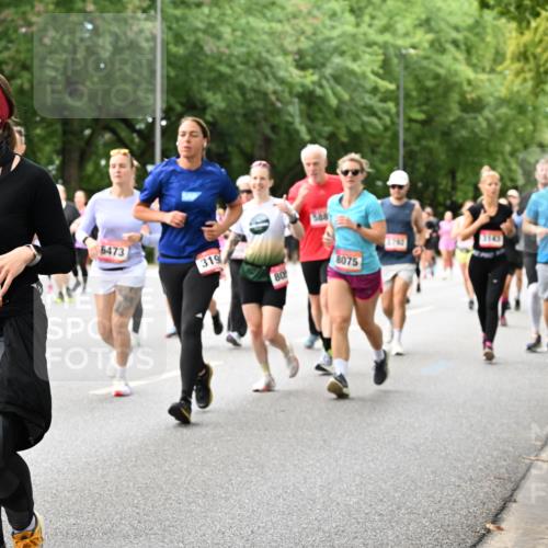 06.09.2026 - CURREX Alsterlauf Dr. Thomas Lammeyer http://msf.ph/oto/10117895 06.09.2026 09:16:18 Laufen 6473, 48, 524, 319, 80, 8075, 3145, 3142 meine-sportfotos.de