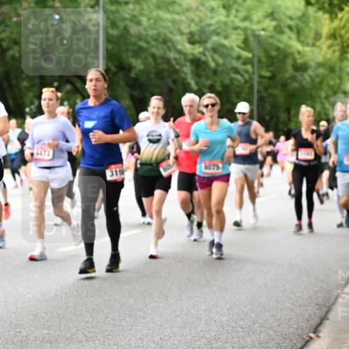 06.09.2026 - CURREX Alsterlauf Dr. Thomas Lammeyer http://msf.ph/oto/10117897 06.09.2026 09:16:18 Laufen 241, 319, 8075 meine-sportfotos.de