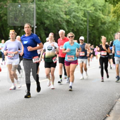 06.09.2026 - CURREX Alsterlauf Dr. Thomas Lammeyer http://msf.ph/oto/10117899 06.09.2026 09:16:18 Laufen 7137, 319, 6075 meine-sportfotos.de