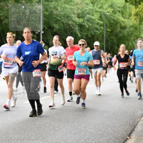 06.09.2026 - CURREX Alsterlauf Dr. Thomas Lammeyer http://msf.ph/oto/10117900 06.09.2026 09:16:18 Laufen 1237, 6473, 3198, 80, 8075, 5782, 3142 meine-sportfotos.de
