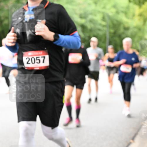 06.09.2026 - CURREX Alsterlauf Dr. Thomas Lammeyer http://msf.ph/oto/10117930 06.09.2026 09:16:22 Laufen 2057 meine-sportfotos.de
