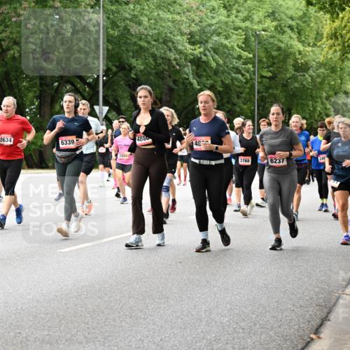 06.09.2026 - CURREX Alsterlauf Dr. Thomas Lammeyer http://msf.ph/oto/10118004 06.09.2026 09:16:30 Laufen 2634, 2553, 6339, 235, 4880, 48, 3768, 6237, 28 meine-sportfotos.de