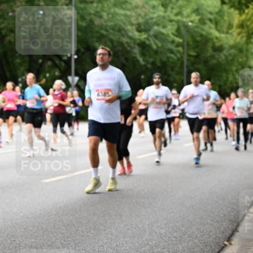 06.09.2026 - CURREX Alsterlauf Dr. Thomas Lammeyer http://msf.ph/oto/10118371 06.09.2026 09:17:01 Laufen 6385 meine-sportfotos.de