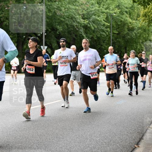 06.09.2026 - CURREX Alsterlauf Dr. Thomas Lammeyer http://msf.ph/oto/10118383 06.09.2026 09:17:02 Laufen 6385, 2662, 3052, 5172, 3345, 2725, 5439, 1948, 263, 8143 meine-sportfotos.de